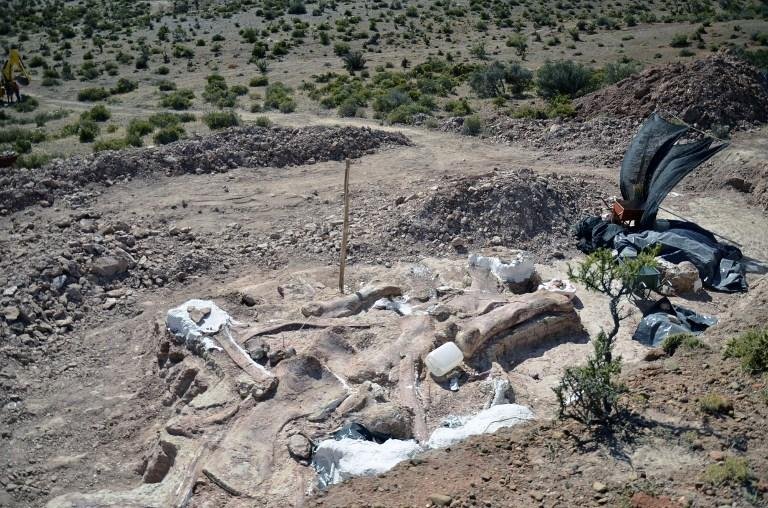 Dinossauro teria vivido h&aacute; 95 milh&otilde;es de anos