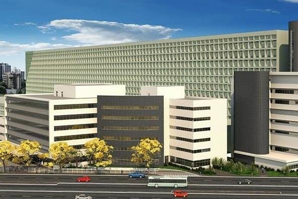 Total de 284 &aacute;rvores ser&aacute; retirada da &aacute;rea para amplia&ccedil;&atilde;o do hospital