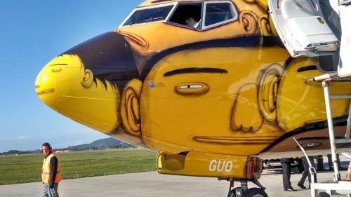 Avi&atilde;o da Sele&ccedil;&atilde;o Brasileira &eacute; atra&ccedil;&atilde;o em aeroporto de Santa Catarina 