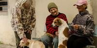 Atividades com cães auxiliam idosos em Santa Cruz do Sul