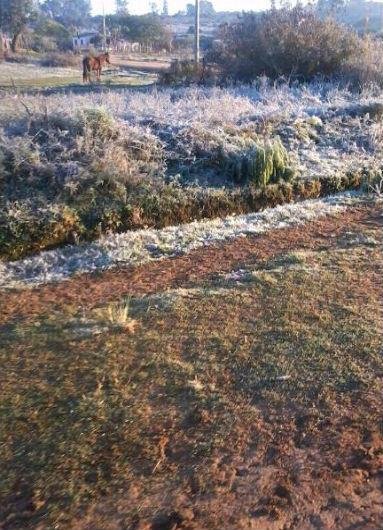 Campos de Bag&eacute; amanheceram pintados de branco
