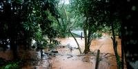 Cheia do Rio Uruguai provocou destruição no Norte e no Noroeste do RS