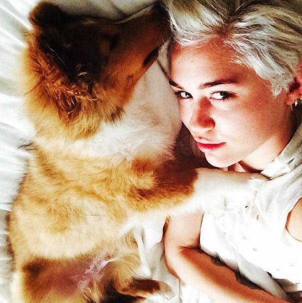 Miley Cyrus apresenta novo c&atilde;o em rede social 