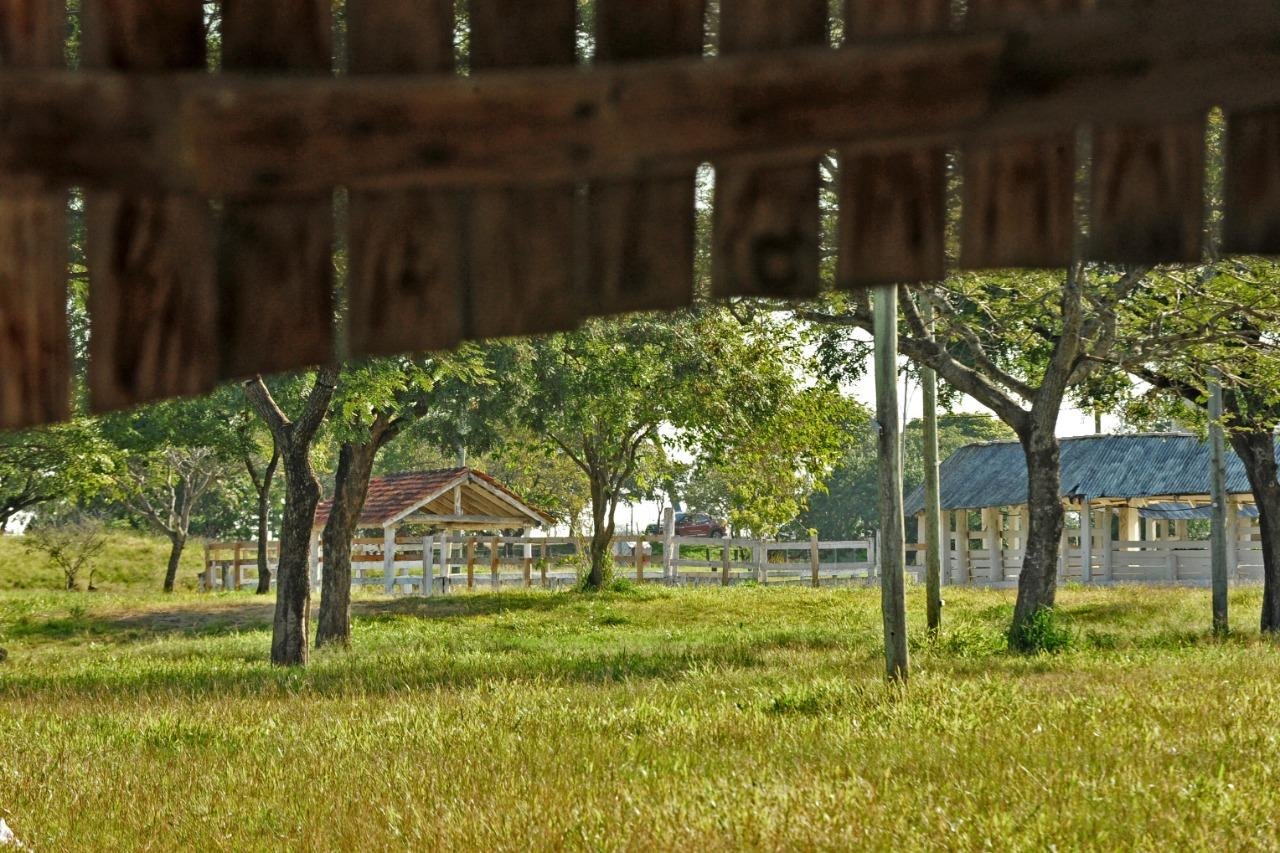 &Uacute;ltima edi&ccedil;&atilde;o contabilizou mais de um milh&atilde;o de visitantes