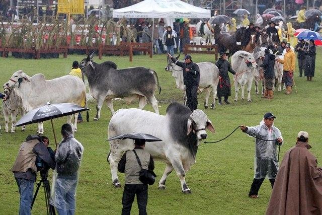 Coordenador afirma que evento j&aacute; vinha apresentando queda na participa&ccedil;&atilde;o