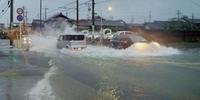 Chegada do tufão Halong cancela voos no Japão