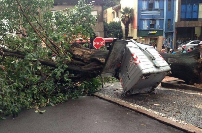 Queda de &aacute;rvore no Centro complicou o tr&acirc;nsito