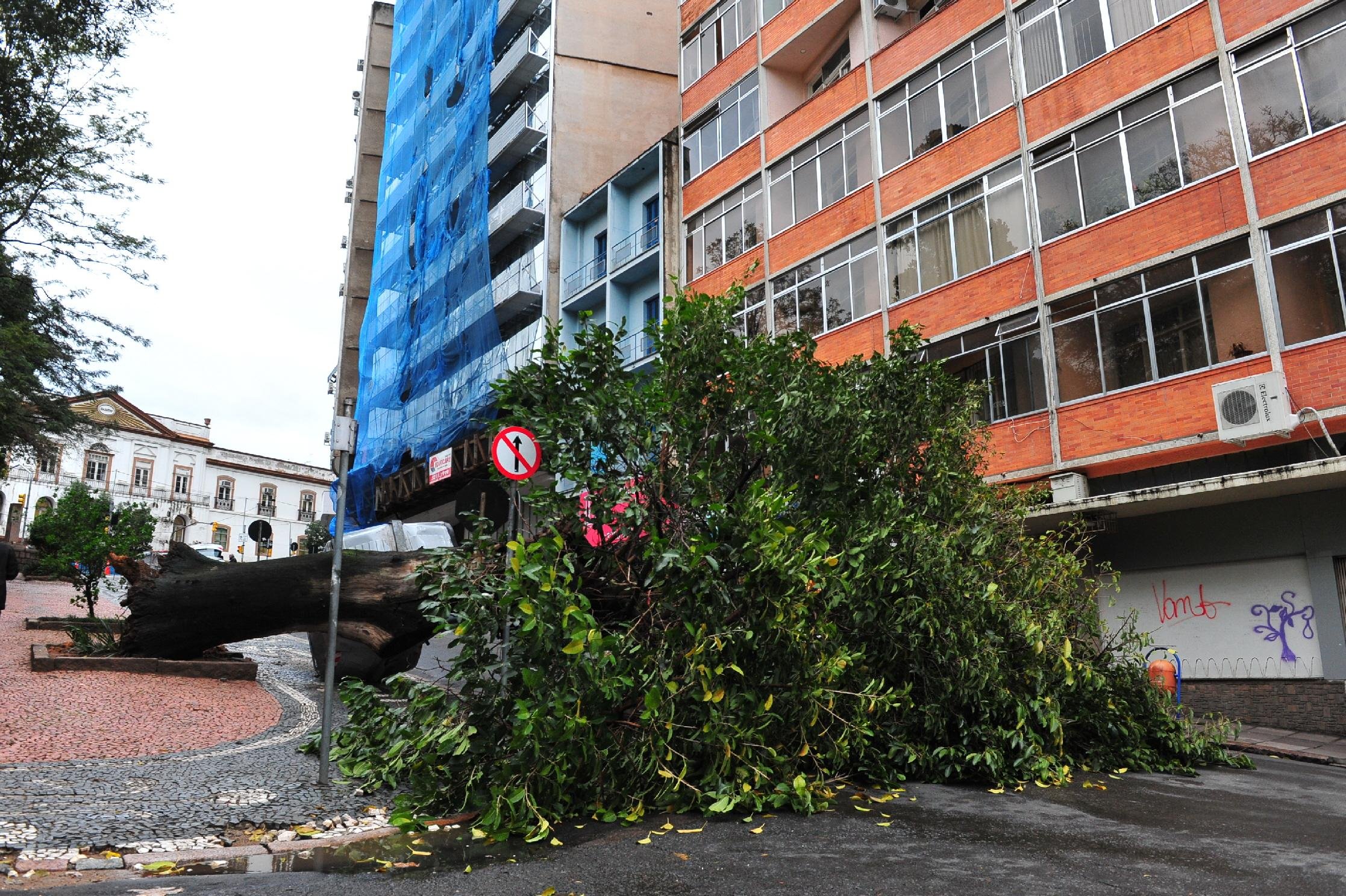 &Aacute;rvore cai na Pra&ccedil;a Dom Feliciano, em frente &agrave; Santa Casa em Porto Alegre