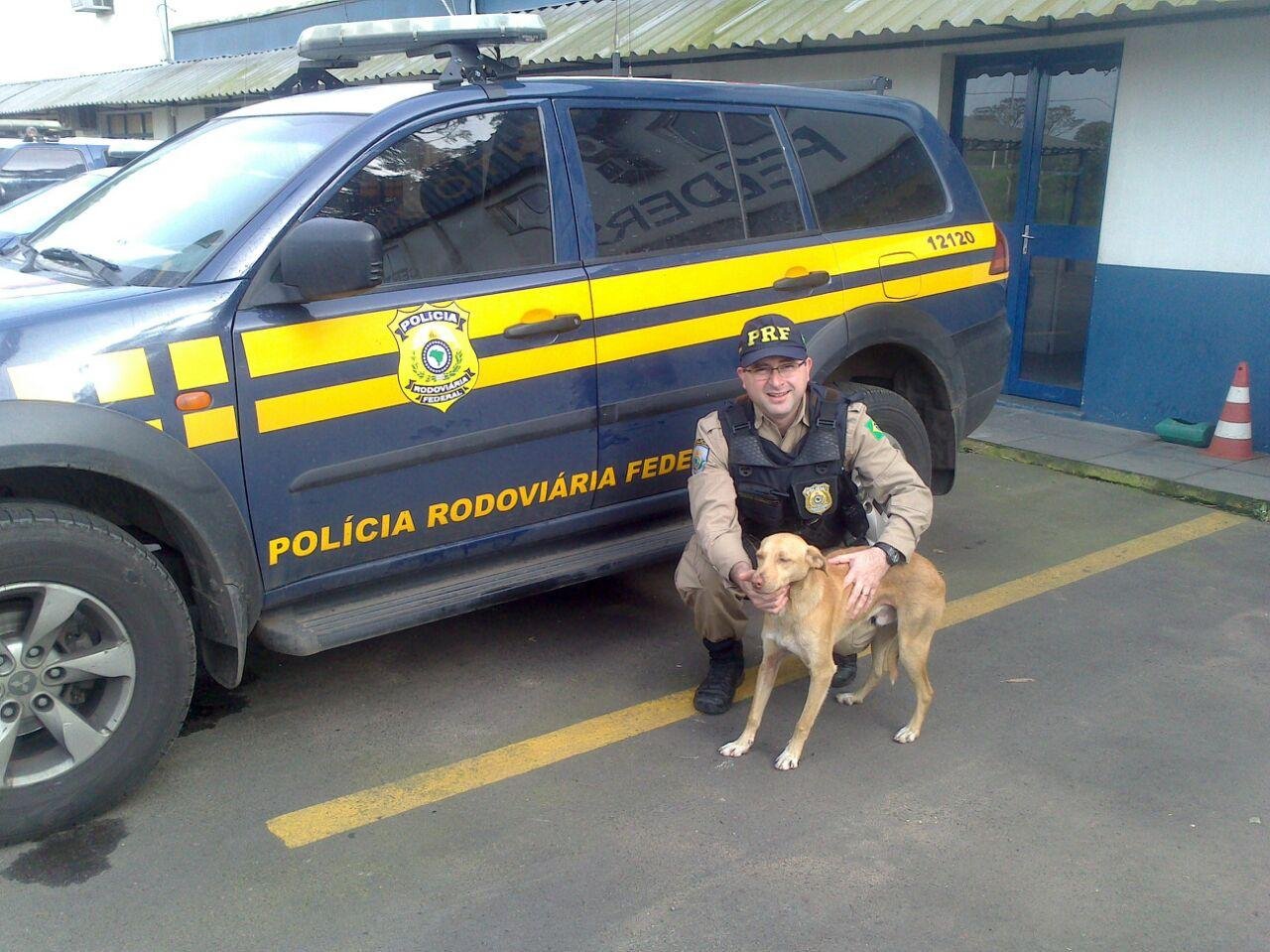 C&atilde;o foi resgatado na manh&atilde; desta quarta