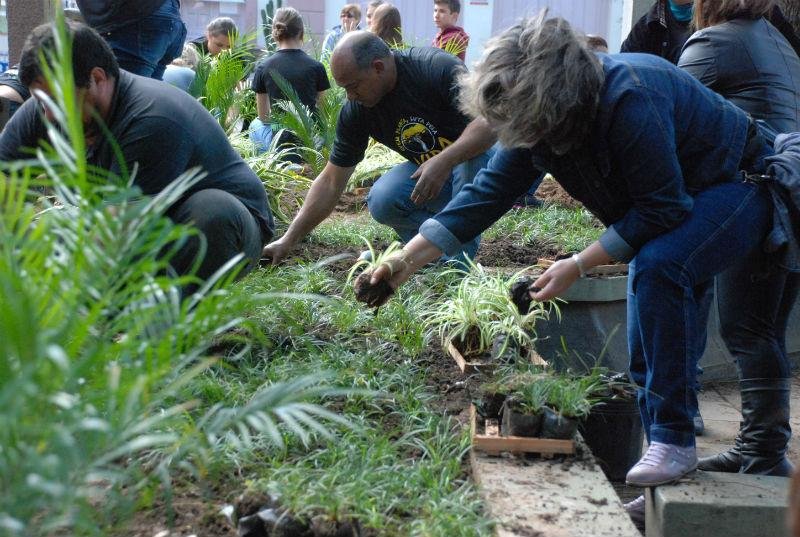 Plantio de mudas de flores ocorreu em Santa Maria