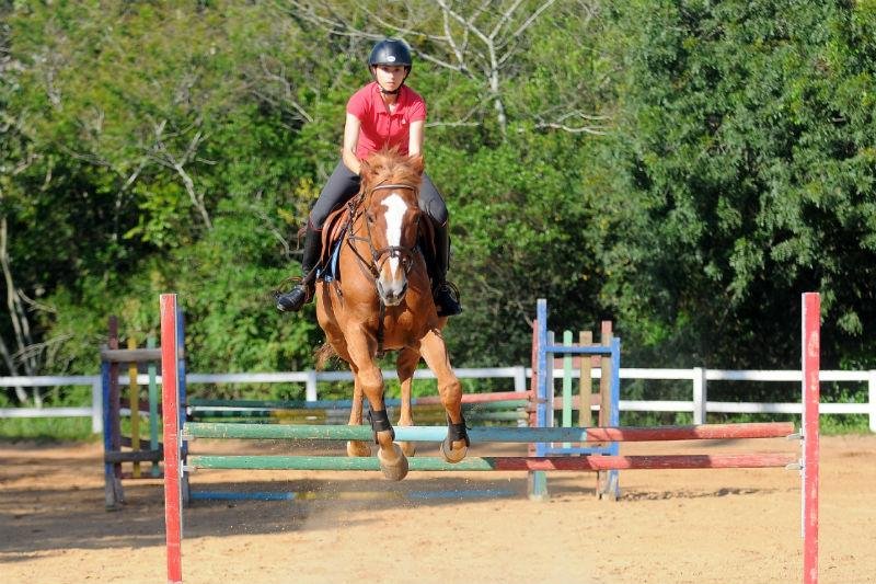 Problema de concentra&ccedil;&atilde;o exige mais esfor&ccedil;o de D&eacute;bora na hora de decorar a ordem de salto dos obst&aacute;culos