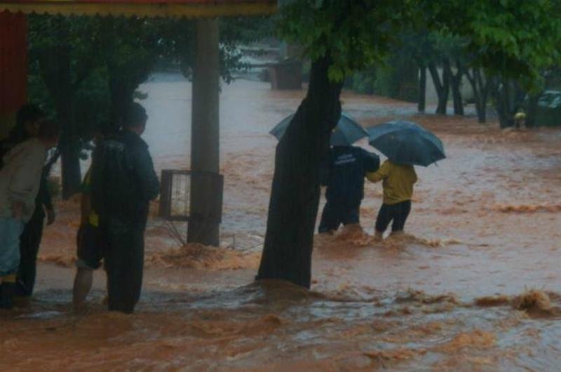 Chuva danificou estradas e pontes, al&eacute;m de casas e planta&ccedil;&otilde;es
