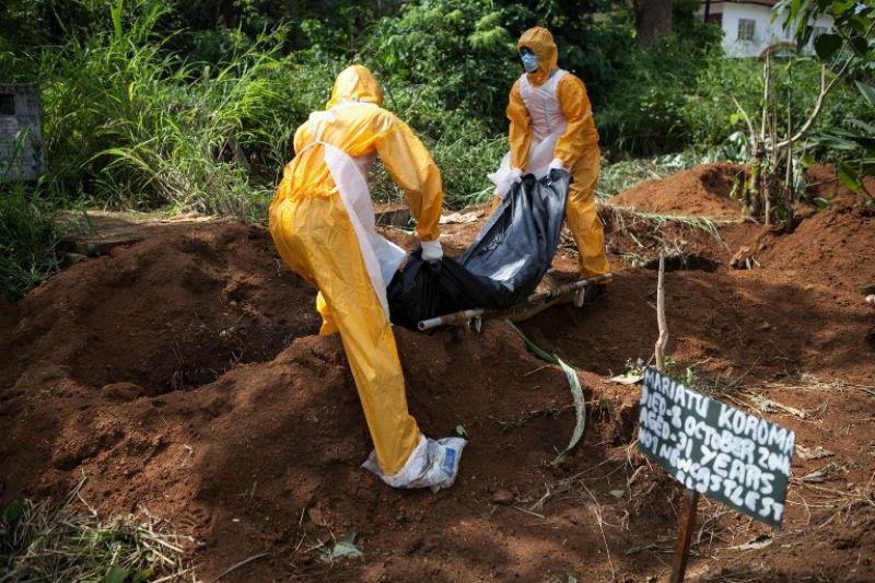 Febre hemorr&aacute;gica j&aacute; fez mais de 4, 5 mil v&iacute;timas