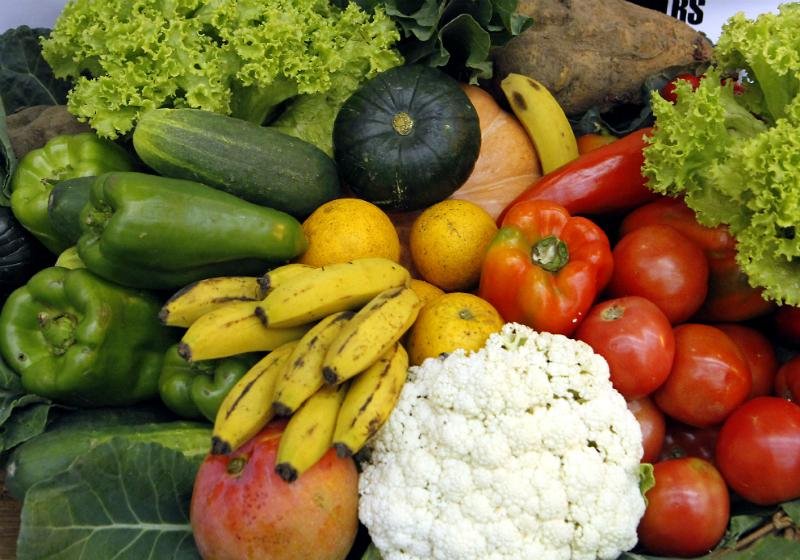 Secret&aacute;rio nacional de Seguran&ccedil;a Alimentar defende uma reforma sanit&aacute;ria no pa&iacute;s