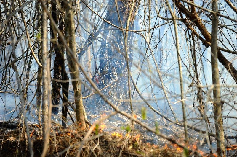 Clima contribuiu para o aumento dos inc&ecirc;ndios nos &uacute;ltimos meses