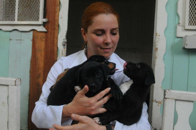 Veterin&aacute;rio da cl&iacute;nica viu ele novamente nas ruas do bairro Santa Tereza 