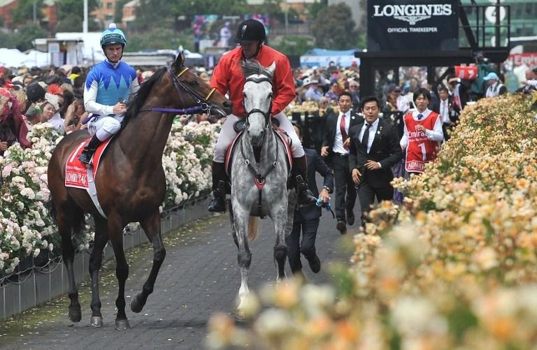 Dois cavalos morrem em prova de turfe na Austr&aacute;lia 