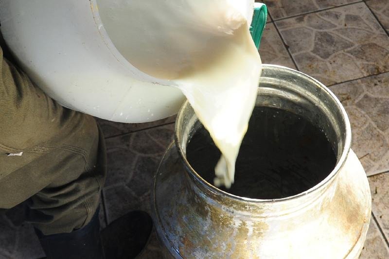 Leite contaminado com &aacute;gua sanit&aacute;ria ser&aacute; recolhido