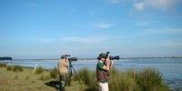 Parque Nacional da Lagoa do Peixe abriga 270 espécies de aves registradas, entre as residentes e as que migram para o santuário	
