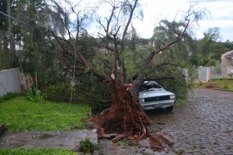 Destelhamentos, quedas de &aacute;rvores e inunda&ccedil;&otilde;es causaram danos em mais de 50 casas
