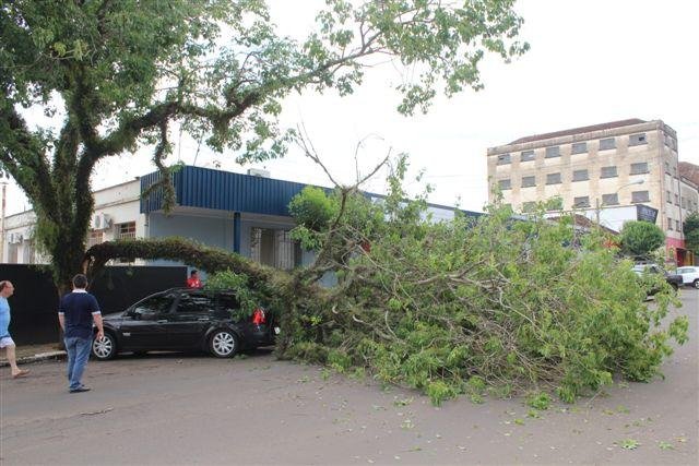Galho de &aacute;rvore centen&aacute;ria cai sobre carro em Encantado 