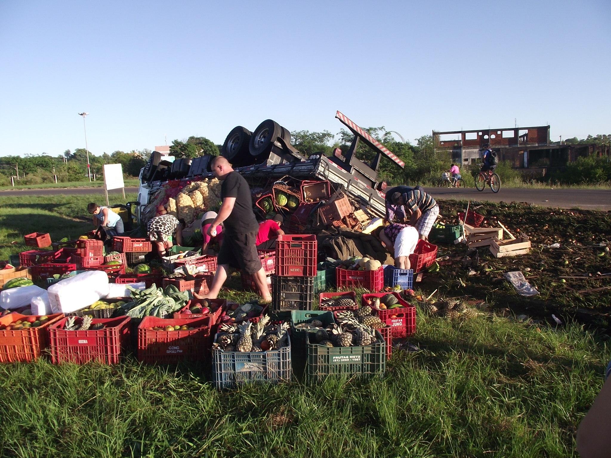 Moradores ajudaram a recolher frutas e verduras aproveit&aacute;veis