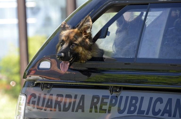 C&atilde;es da pol&iacute;cia uruguaia descobriram o artefato durante ronda no setor das embaixadas