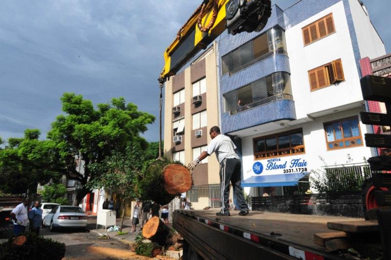 Uma terceirizada da Smam recolhia boa parte dos galhos nesta manh&atilde;