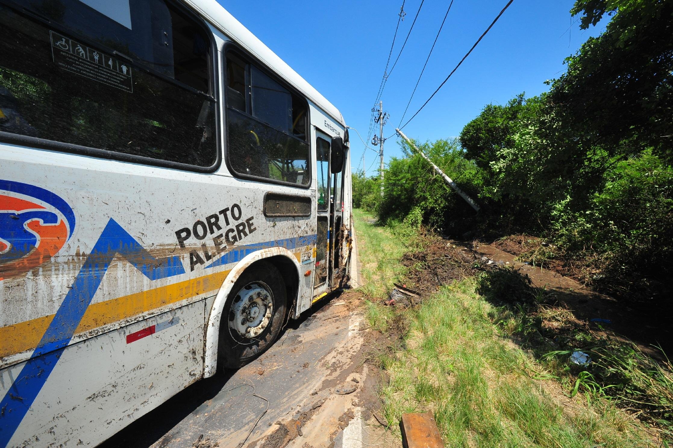 Motorista teria perdido o controle ap&oacute;s ataque de abelhas dentro do ve&iacute;culo
