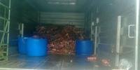 Ação da BM e secretaria da agricultura apreendeu foram apreendidos 350 kg de charque e 250 kg de carne bovina