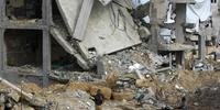 ONG acusa Israel de ataque deliberado contra civis em Gaza 