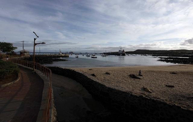 Equador declara estado de emerg&ecirc;ncia ambiental nas Ilhas Gal&aacute;pagos 