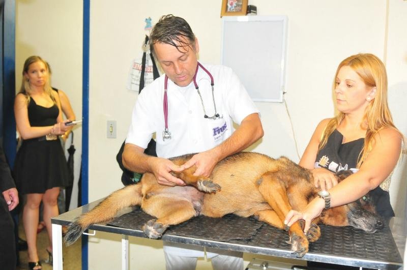 SamuVet j&aacute; atendeu cinco animais em Cachoeirinha