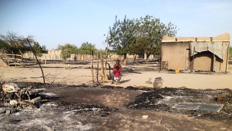 Boko Haram invade cidade da Nig&eacute;ria 