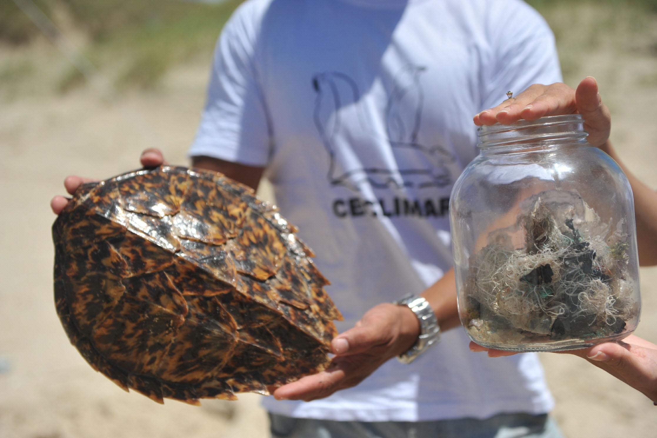 Ceclimar realiza a&ccedil;&otilde;es de consci&ecirc;ncia ambiental
