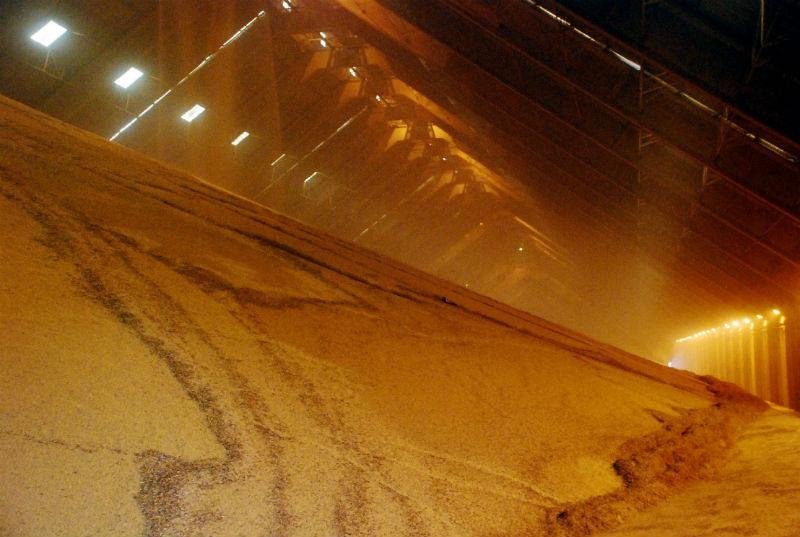 Escoamento da safra enfrenta obst&aacute;culos 