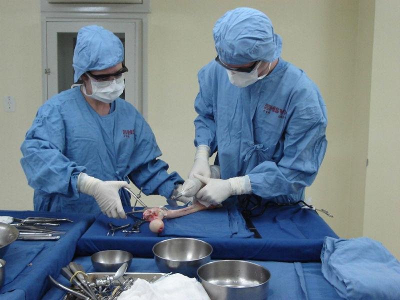 Uma &uacute;nica doa&ccedil;&atilde;o pode beneficiar 30 pessoas