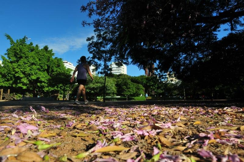 El Ni&ntilde;o ganha for&ccedil;a com chegada do outono