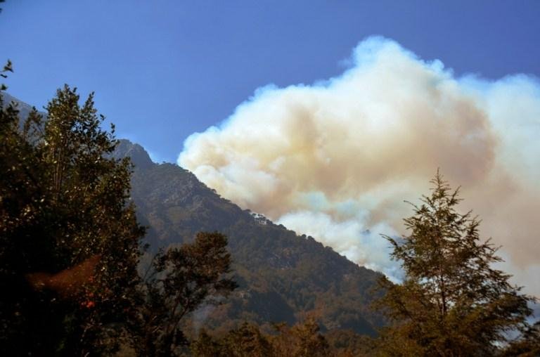Bombeiros det&ecirc;m avan&ccedil;o de inc&ecirc;ndio em parque nacional no Chile