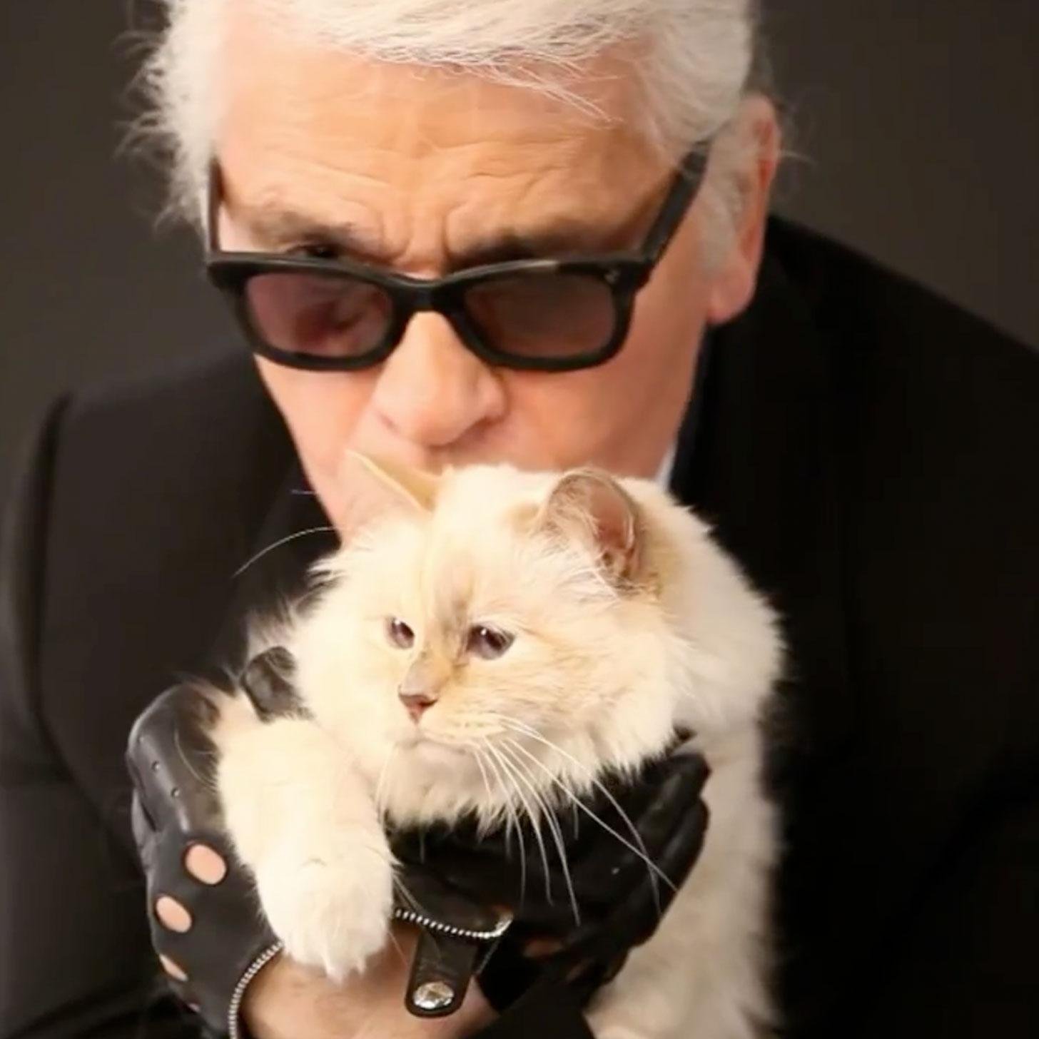 Choupette, a gata mais fashionista (e rica) do mundo