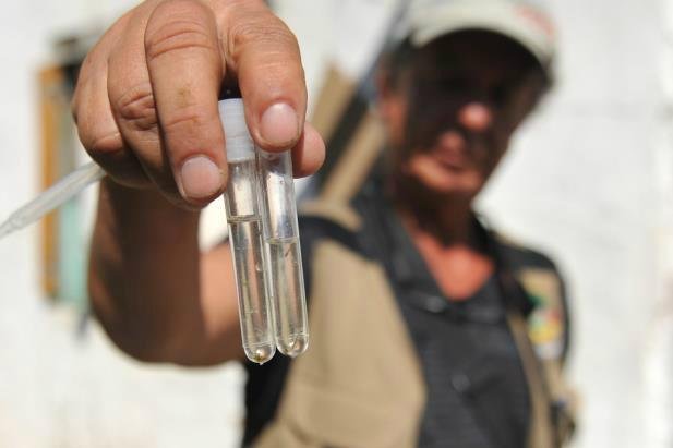 Resid&ecirc;ncias de ver&atilde;o podem ter focos de Aedes aegypti