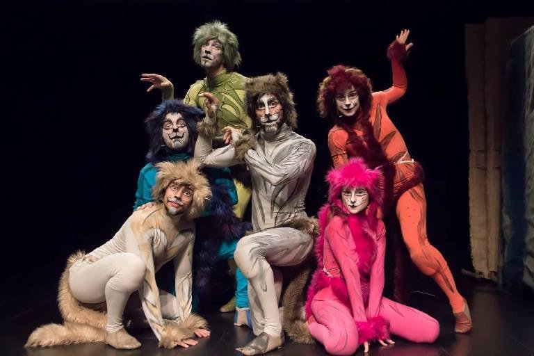 Na montagem, grupo de gatos mostra sua intelig&ecirc;ncia