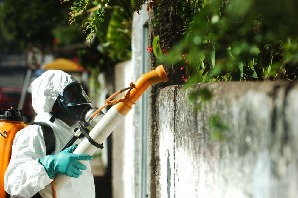 Porto Alegre soma 26 casos de dengue neste ano