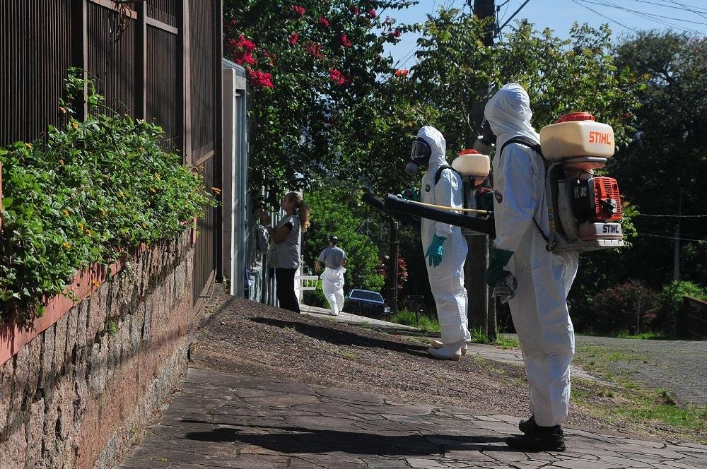 Capital tem registrados 38 casos de dengue em 2015, sendo 31 importados e sete aut&oacute;ctones