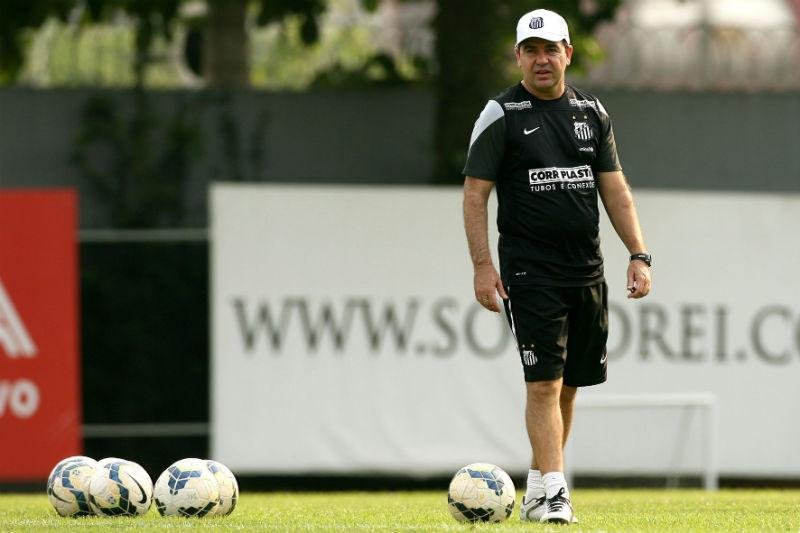 Fluminense anuncia Enderson Moreira como novo t&eacute;cnico