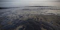 Autoridades calculam que 80 mil litros de petróleo atingiram o mar