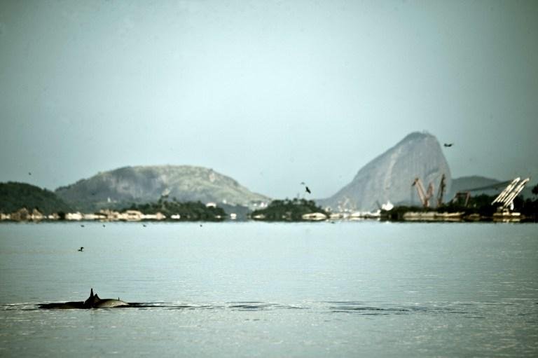 Hoje polu&iacute;da, Ba&iacute;a de Guanabara receber&aacute; provas ano ano que vem