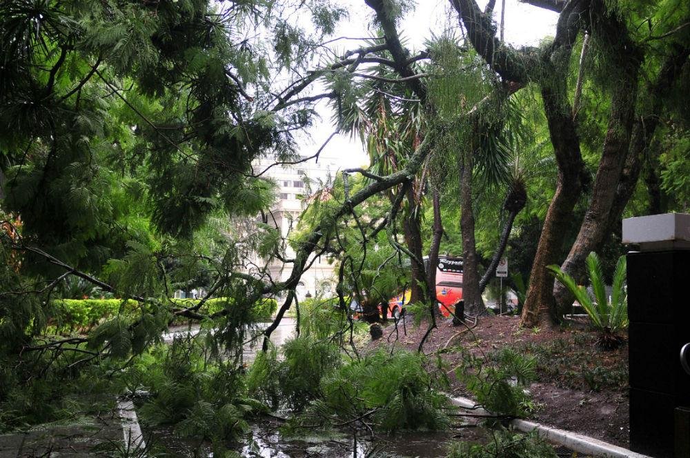 Litoral Norte deve sofrer mais risco de danos com precipita&ccedil;&atilde;o e for&ccedil;a do vento