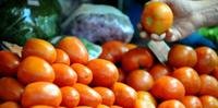 Tomate foi vilão, apresentando alta de 30% no mês