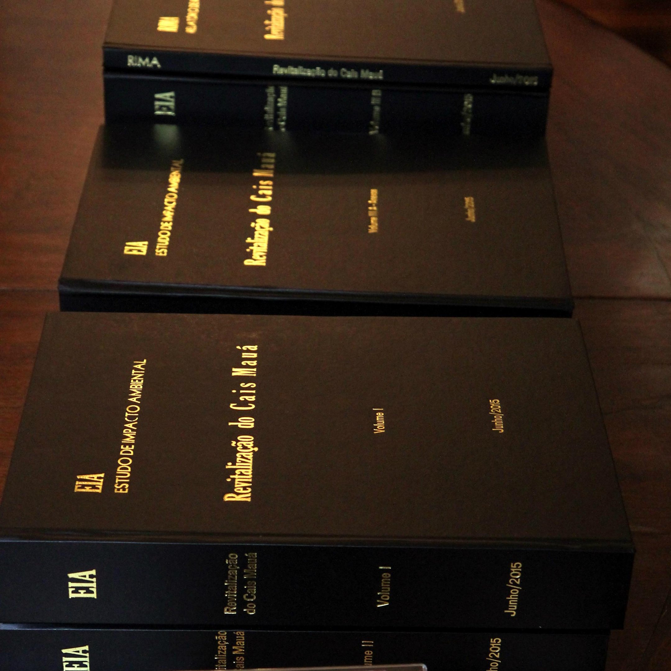 Estudo contempla seis grandes volumes de documenta&ccedil;&atilde;o, totalizando 2,5 mil p&aacute;ginas
